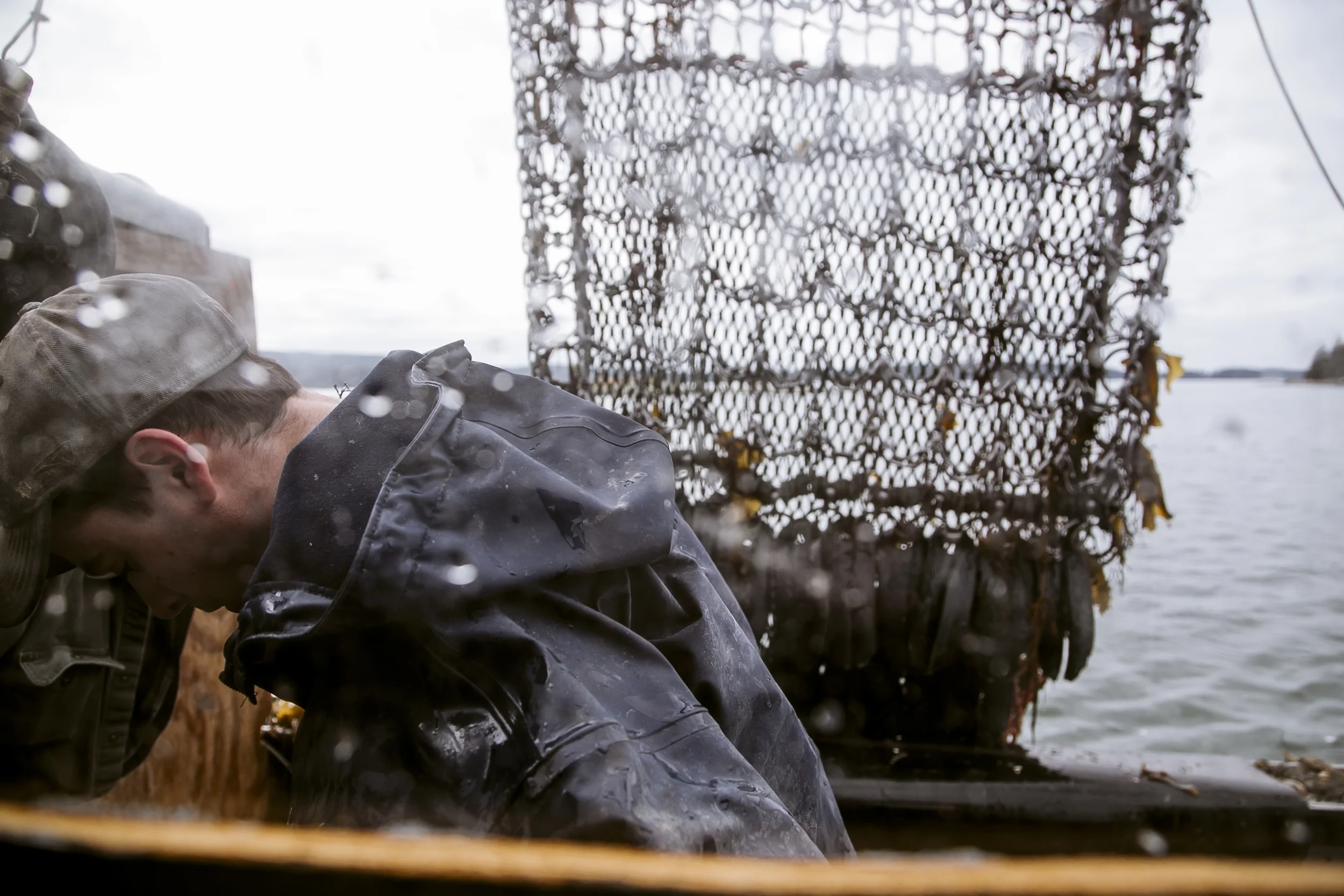 urchins_stonington-2121.jpg