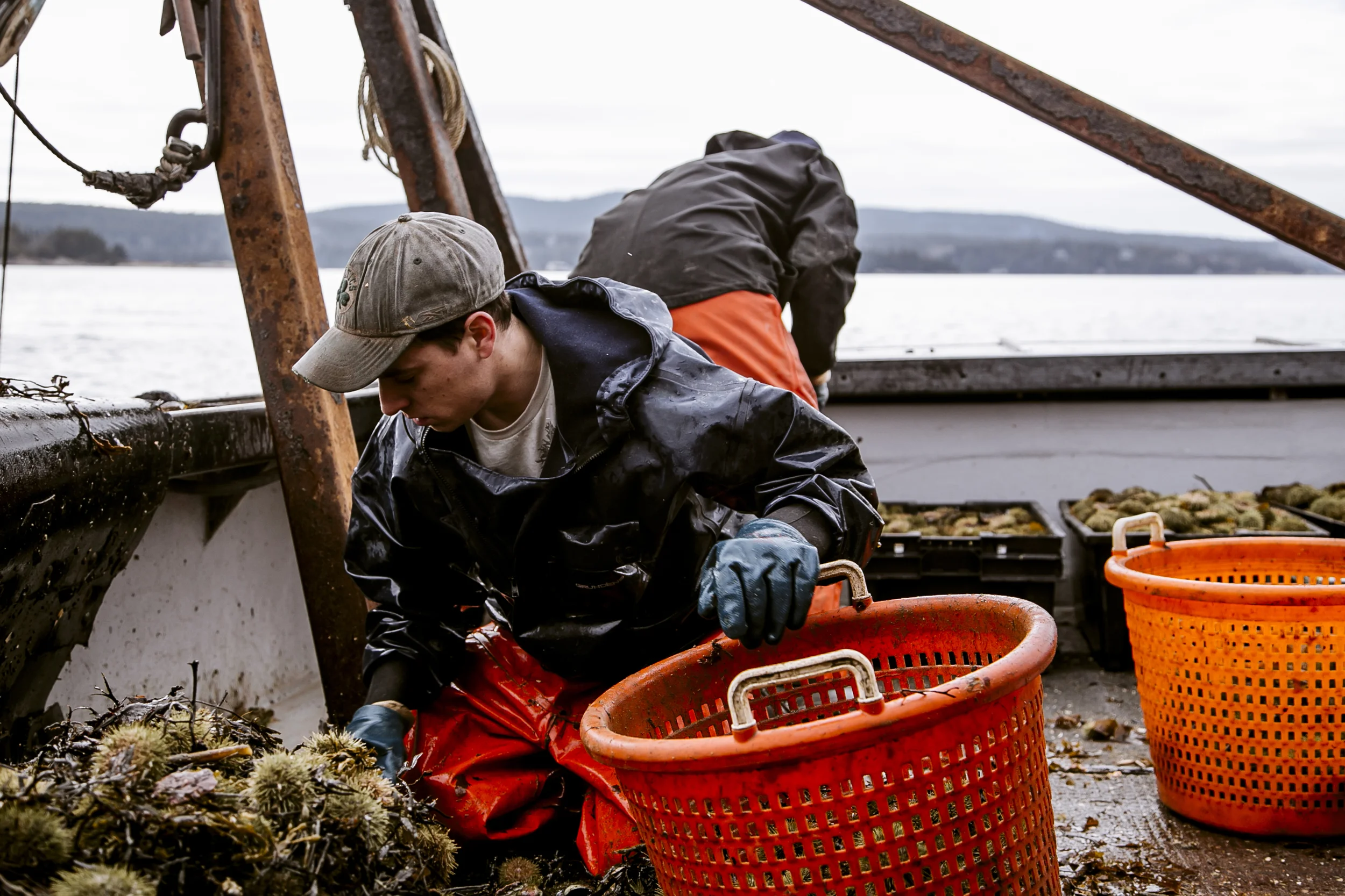 urchins_stonington-2081.jpg