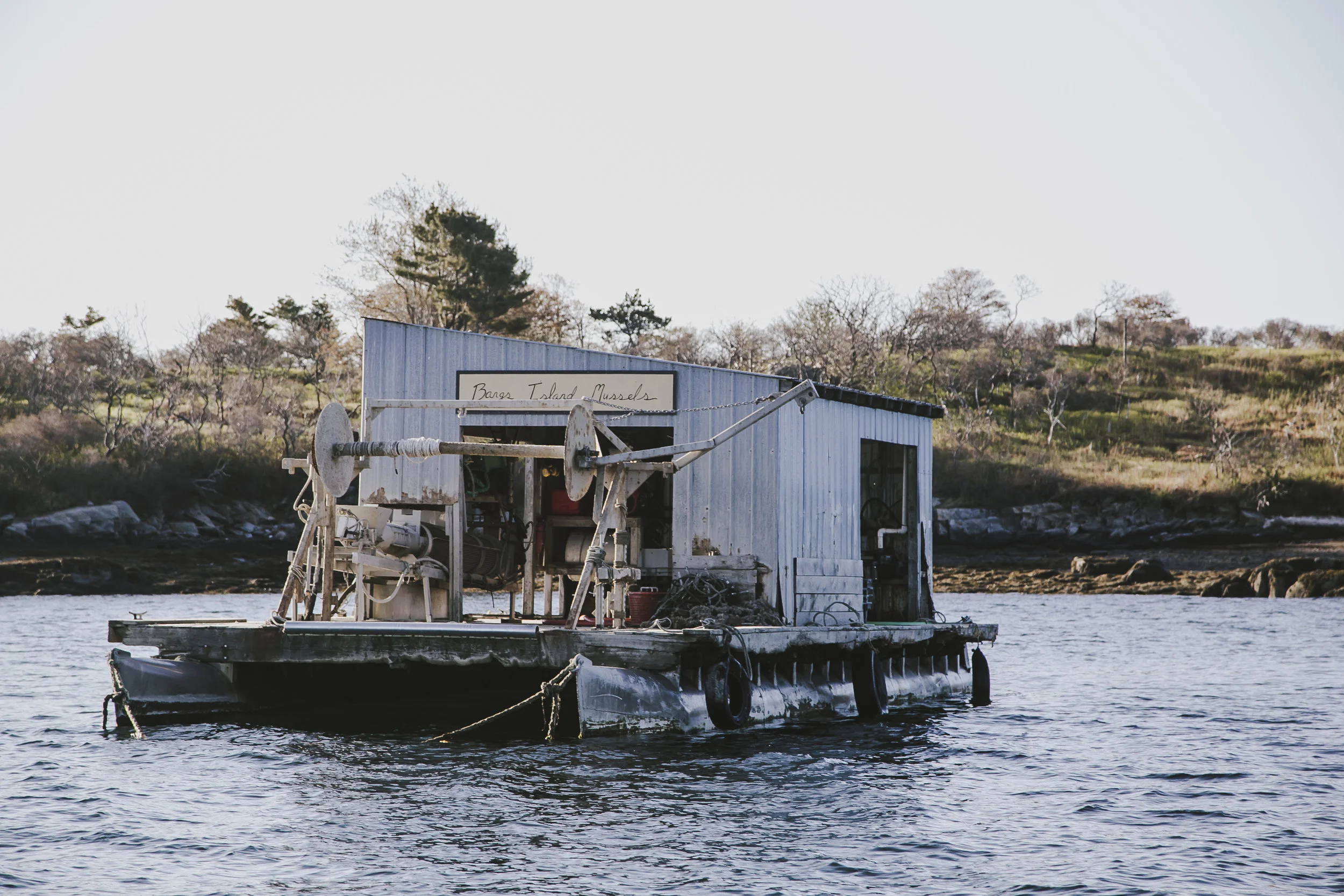 bangs_island-108.jpg