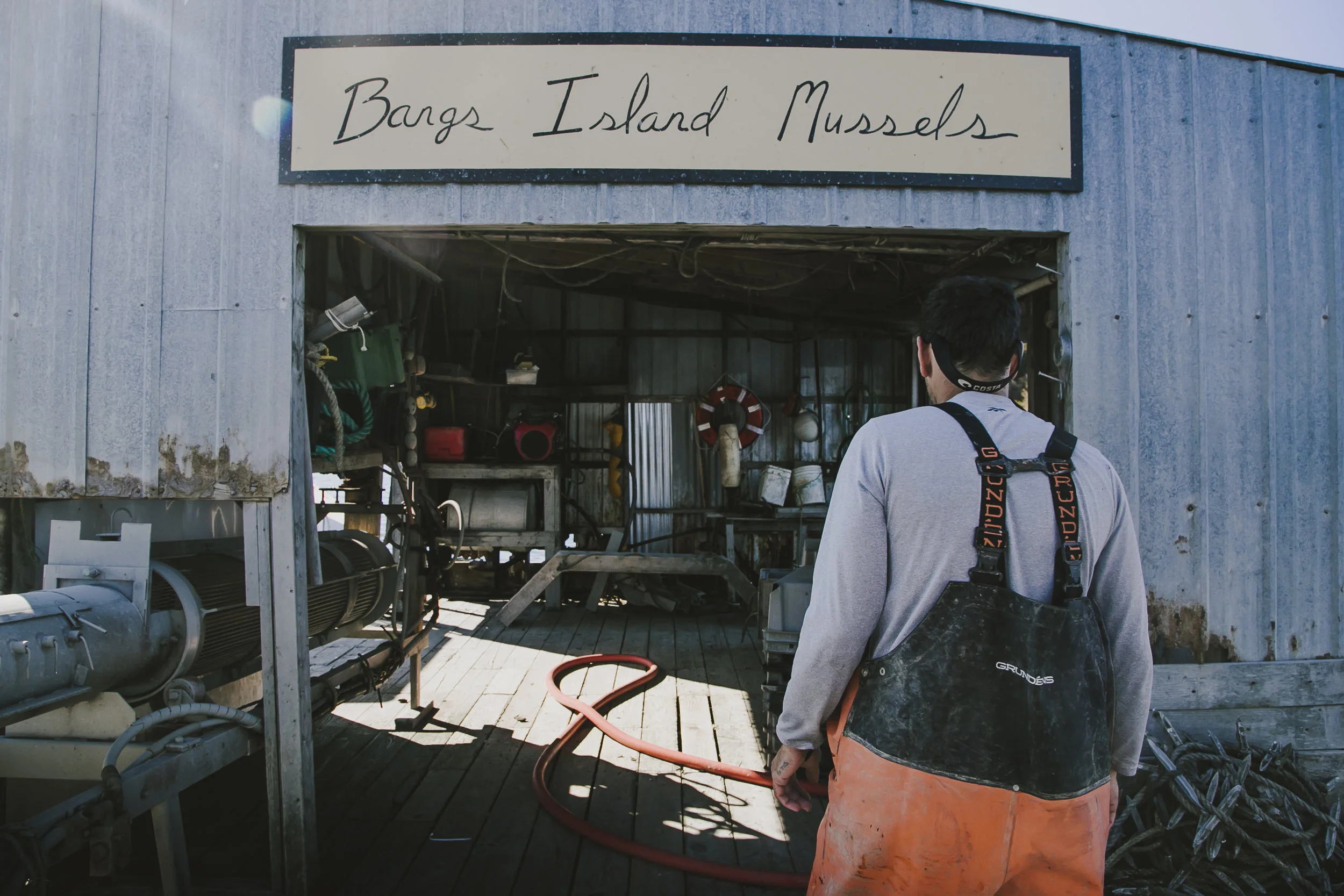 bangs_island-620.jpg