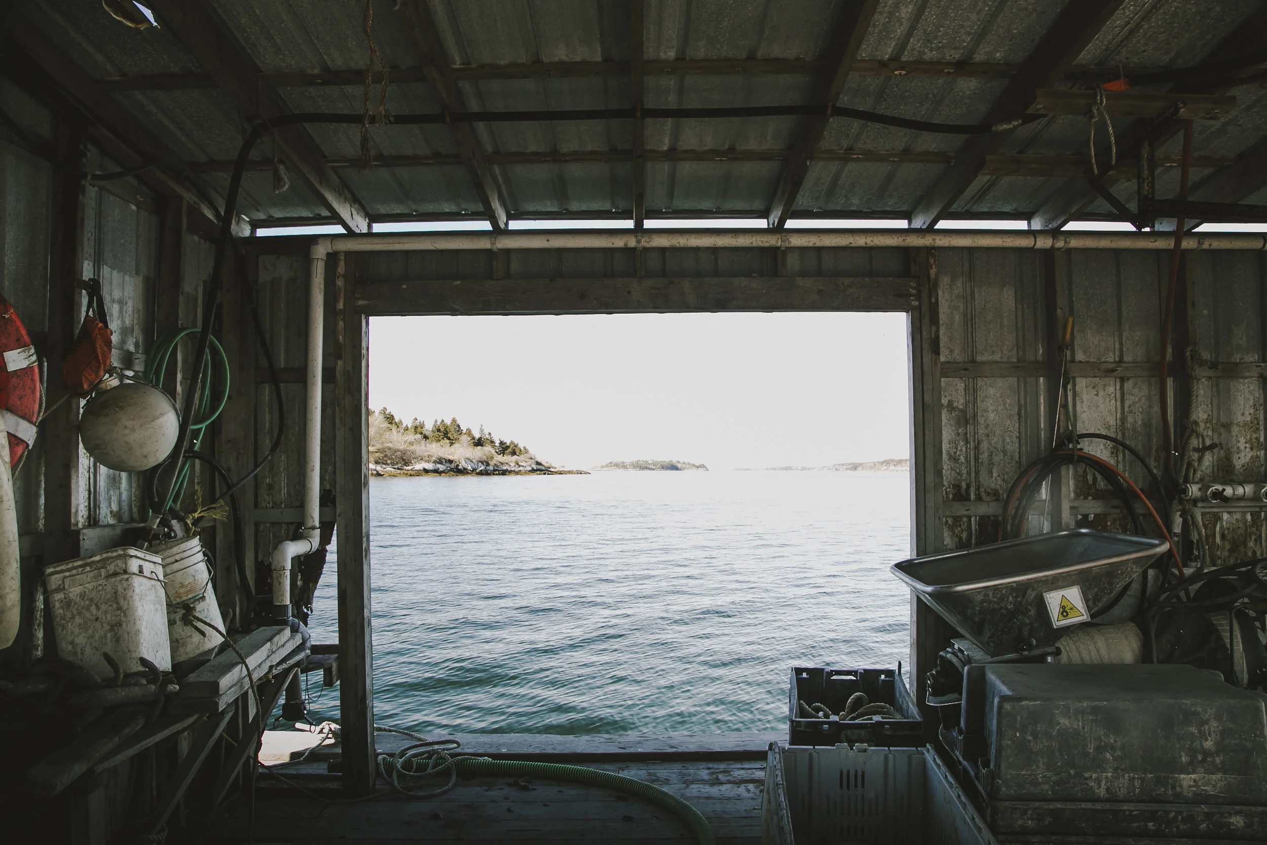 bangs_island-638.jpg