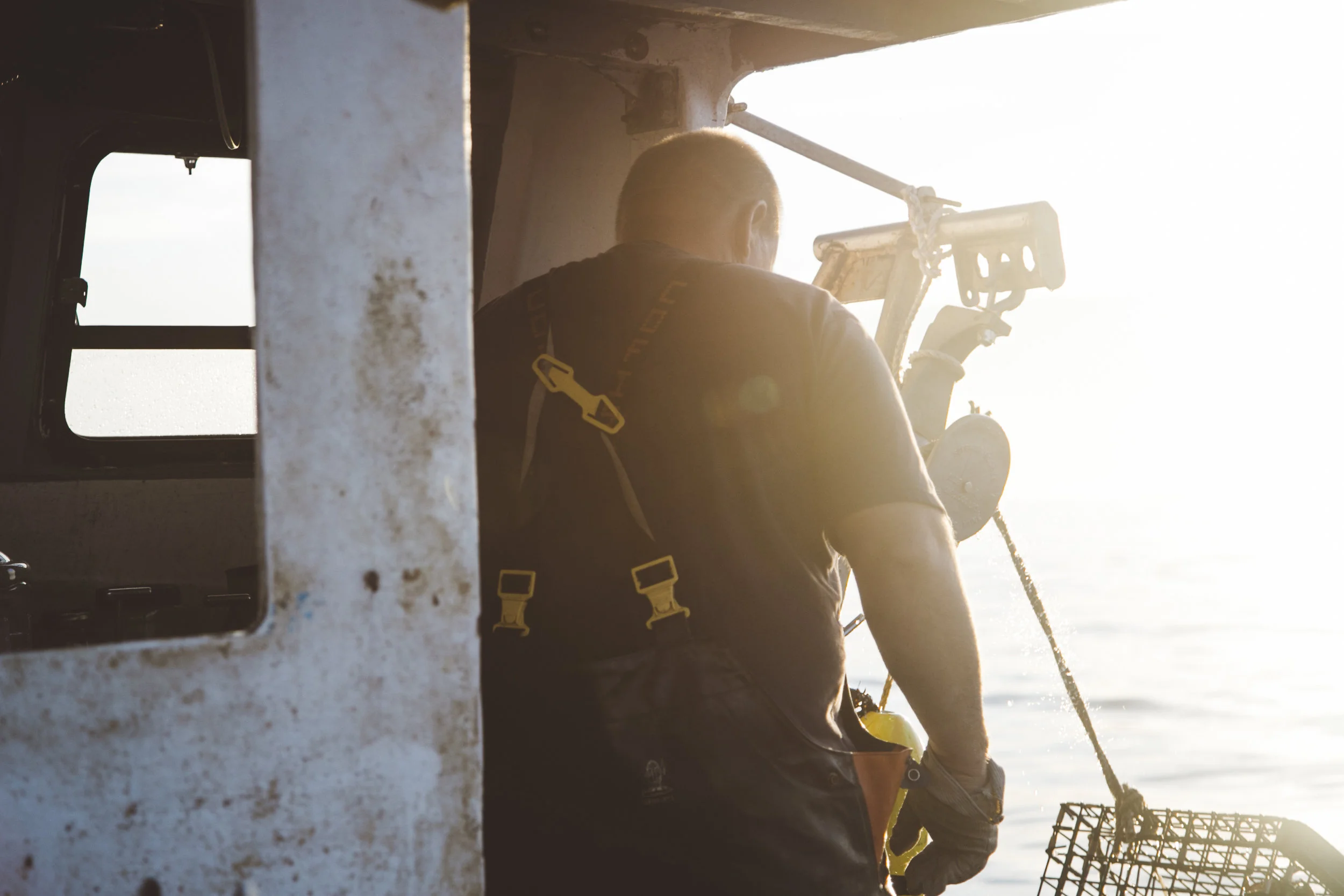 nomad_galen_72-230.jpg