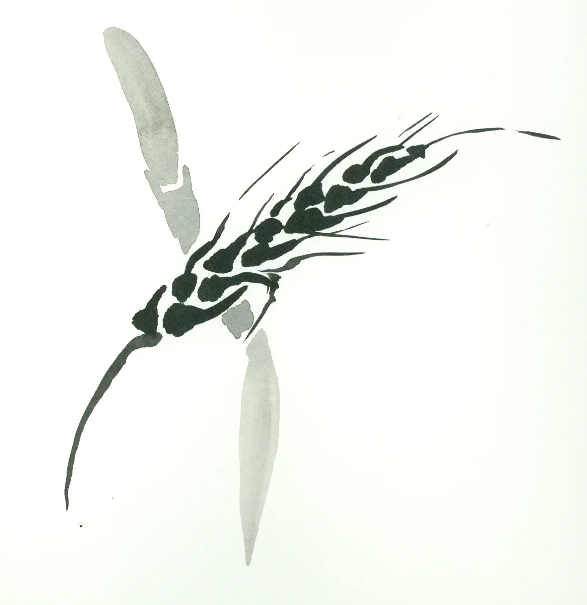 dark) stripping the willow.jpg