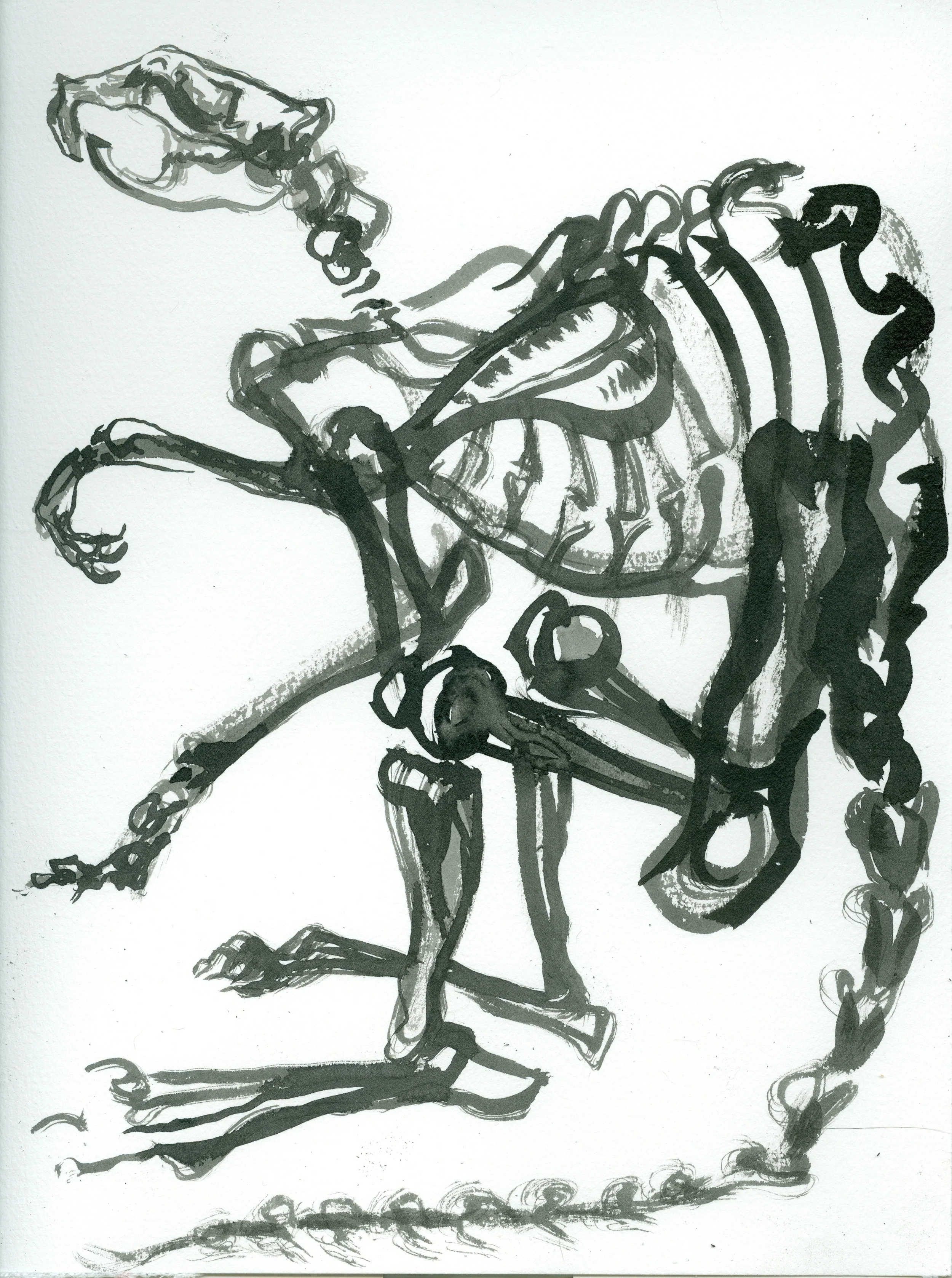 scan0006.jpg