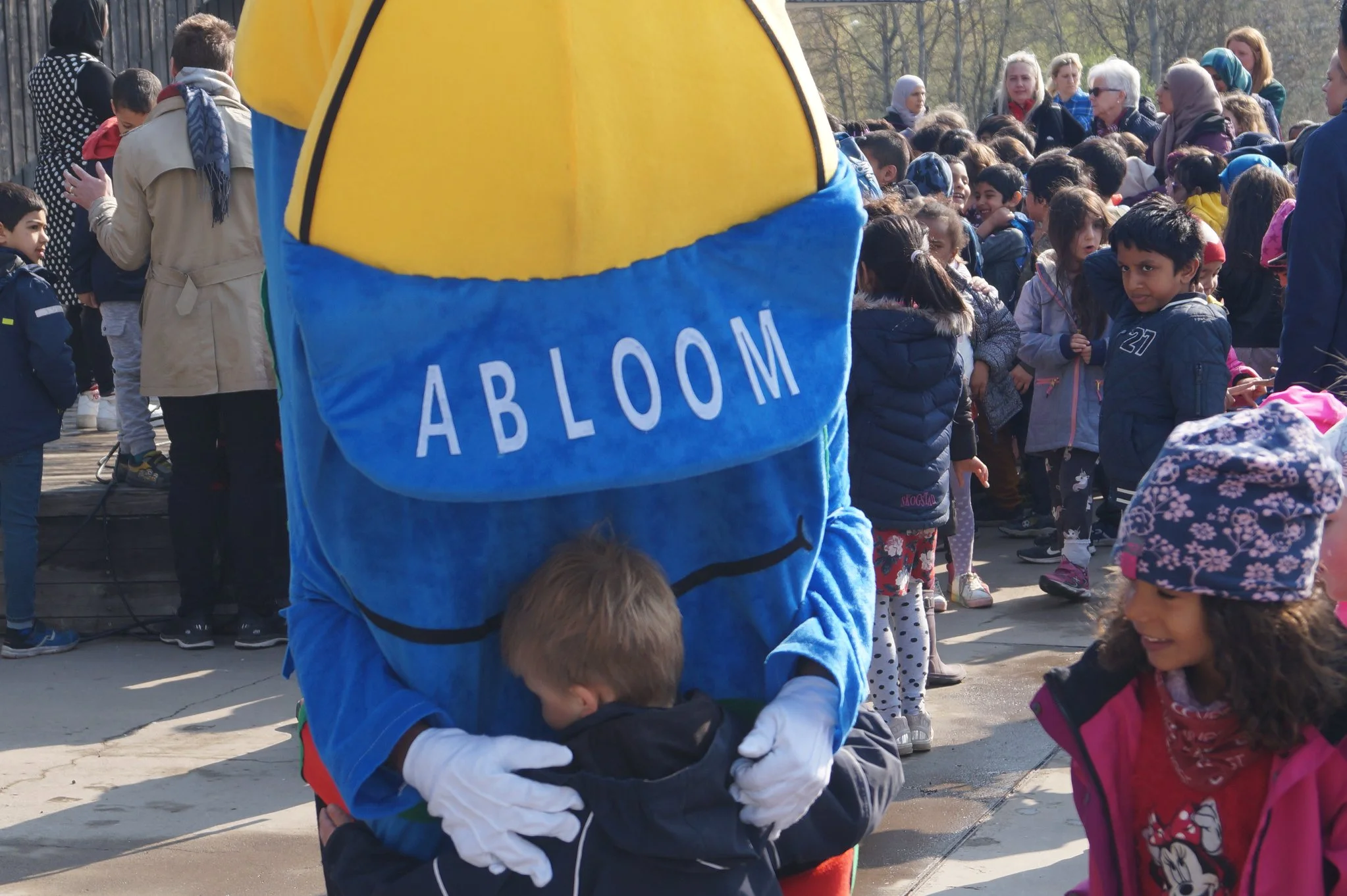 abloom.jpg