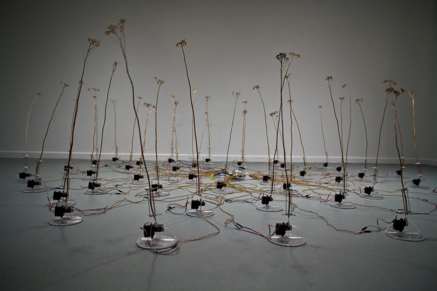 Lab for Electronic Arts and Performance: LEAP - Berlin