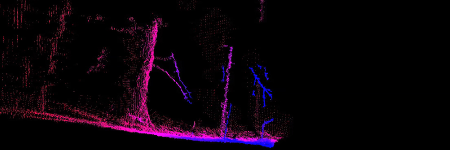 landscape#1(banner1).jpg