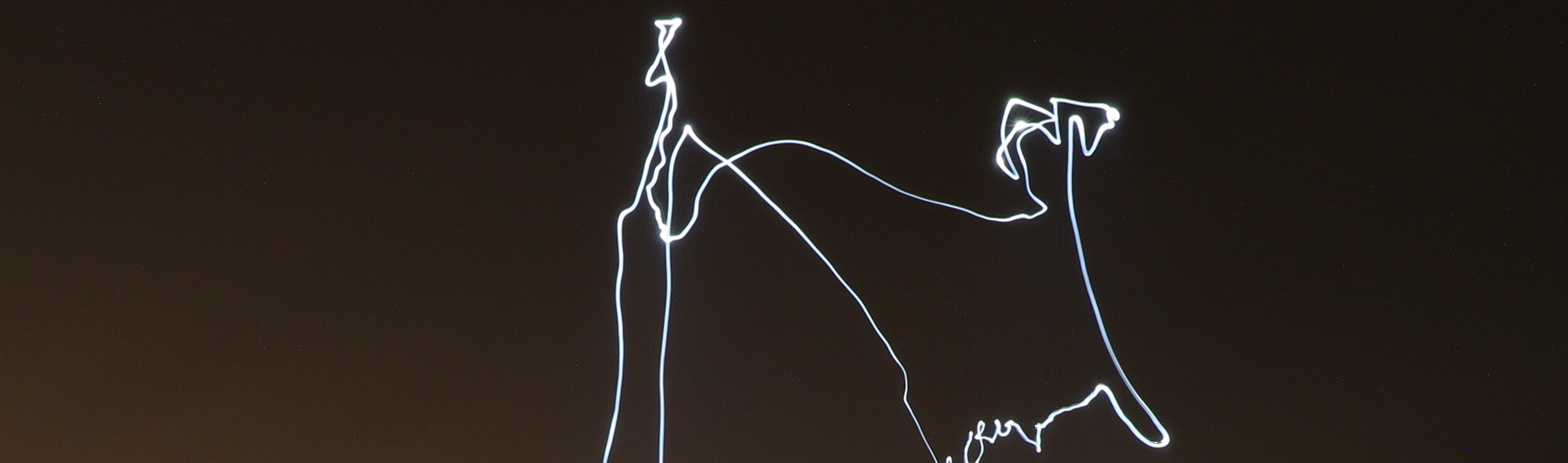 plant_drone_ballfield_cropped copy.JPG