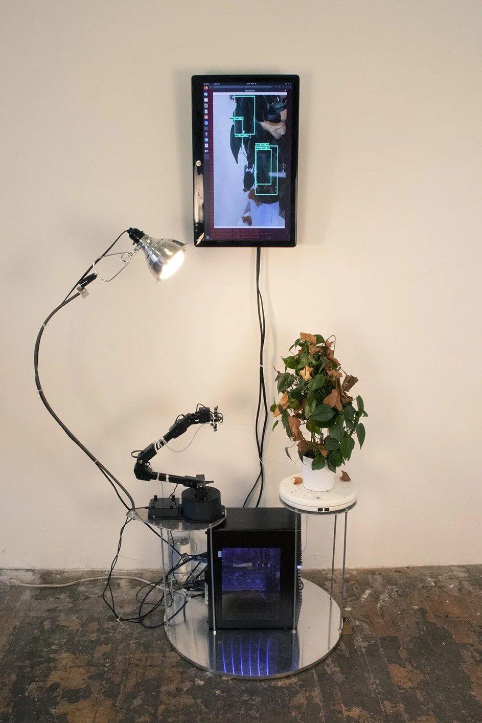 plant_bot — David Bowen