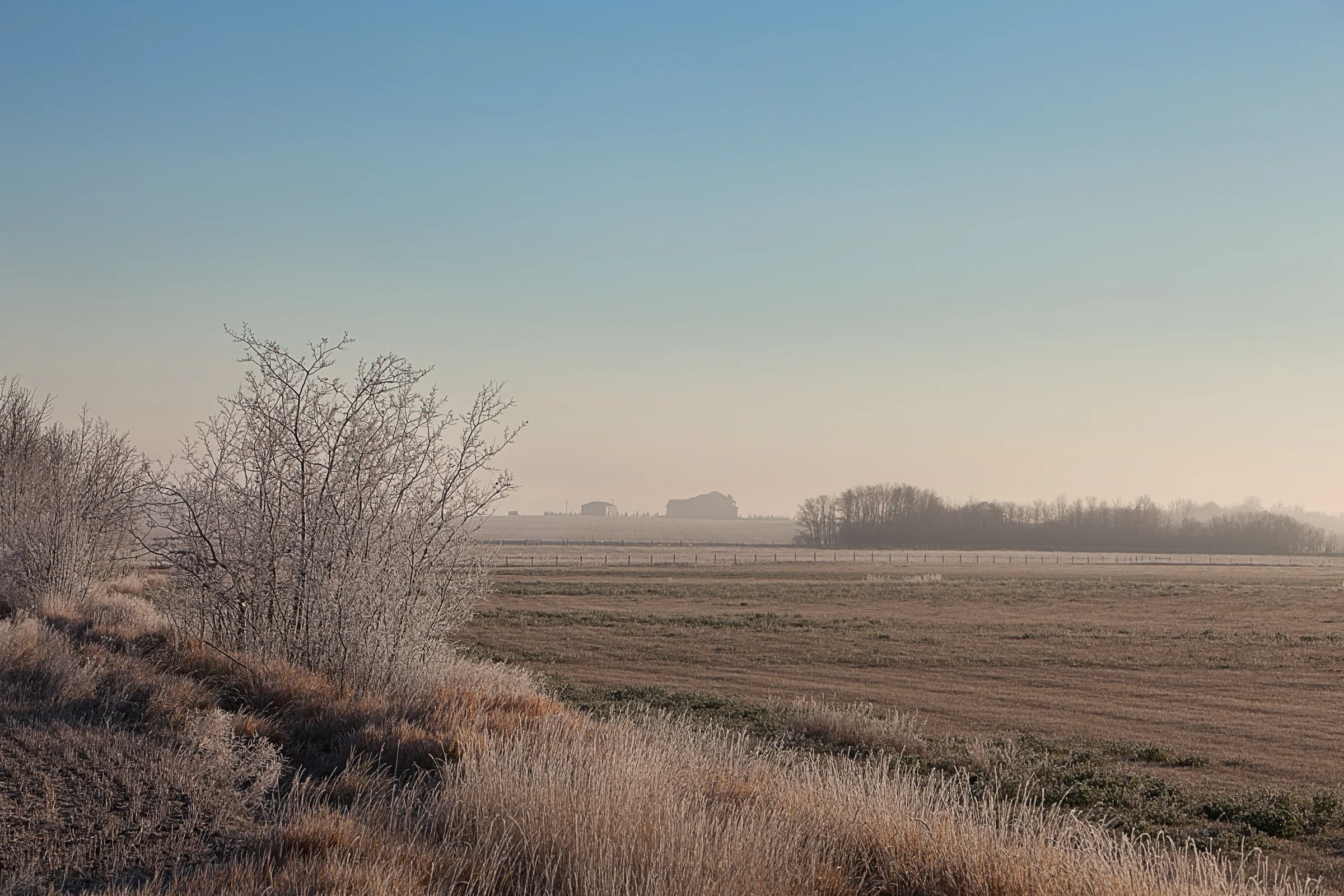 The hoarfrost really stands out on those bare tree branches