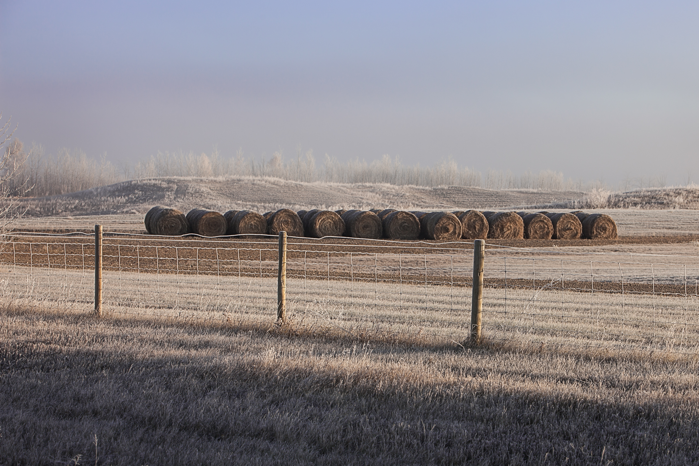 Barbed-wire fences, bails of hay and blue skies! 