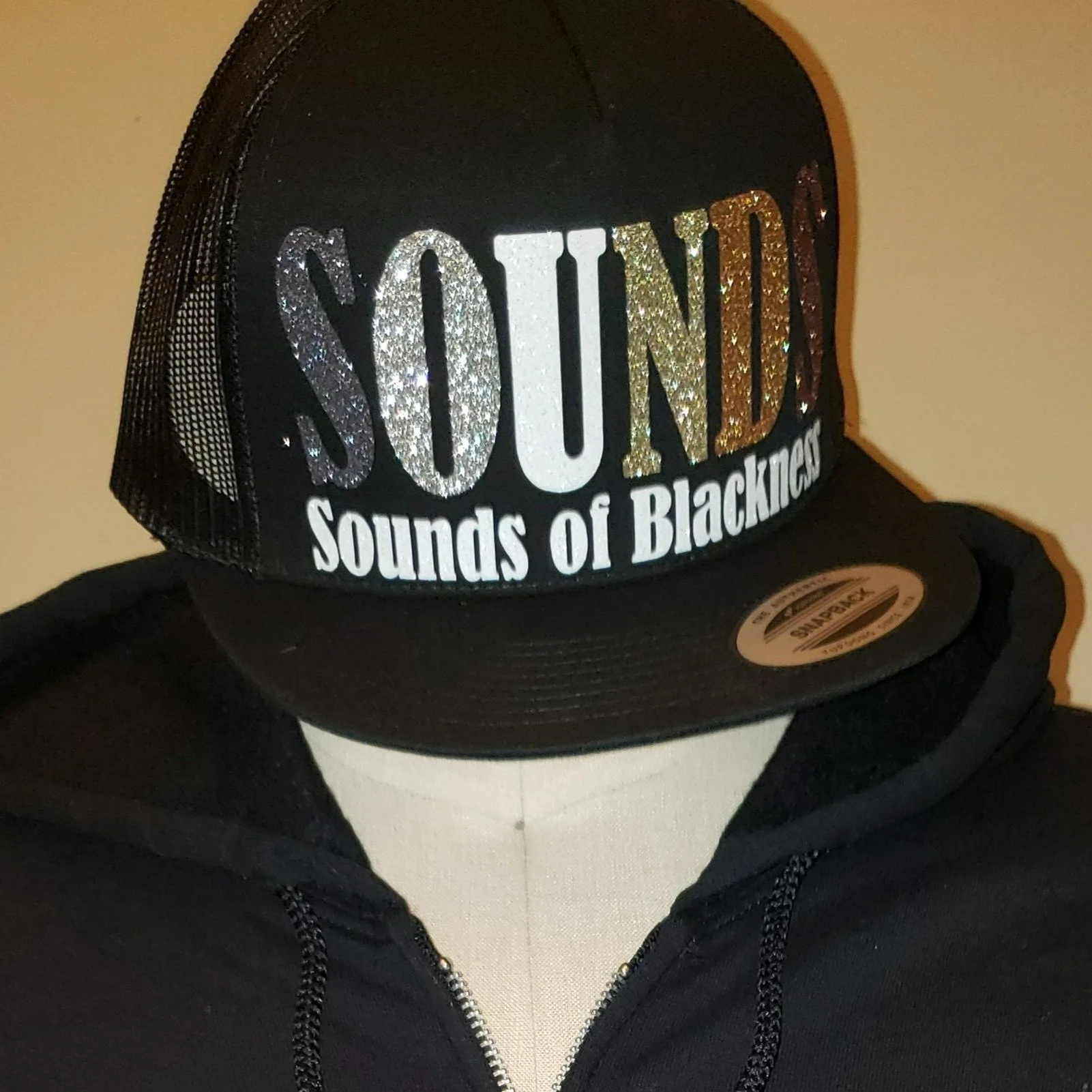 SOUNDSFull-ZipHoodieHat.jpg