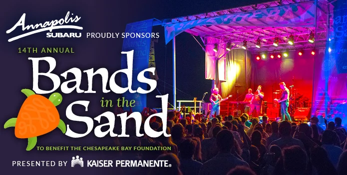 Bands in the sand logo.jpg
