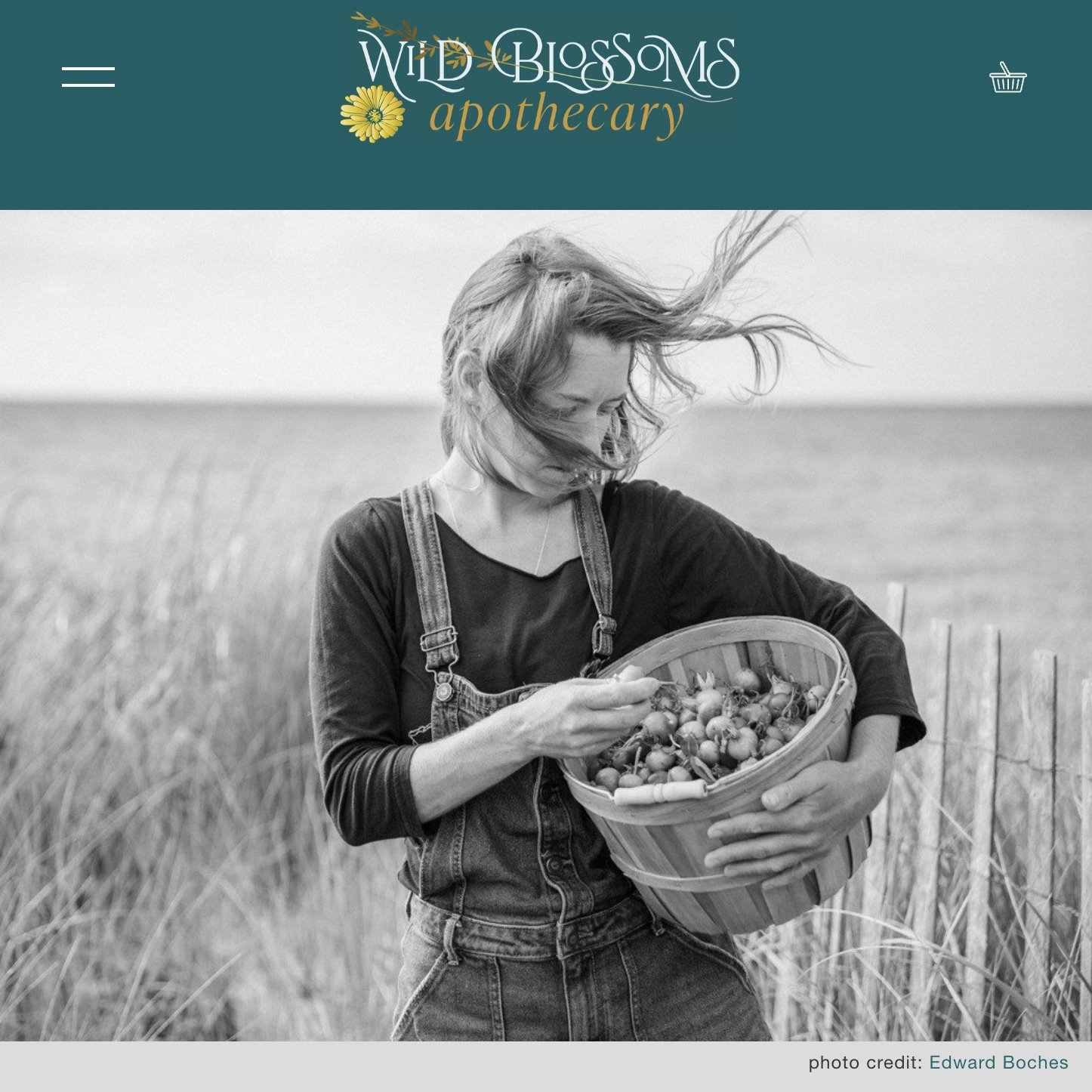 Wild Blossoms Apothecary