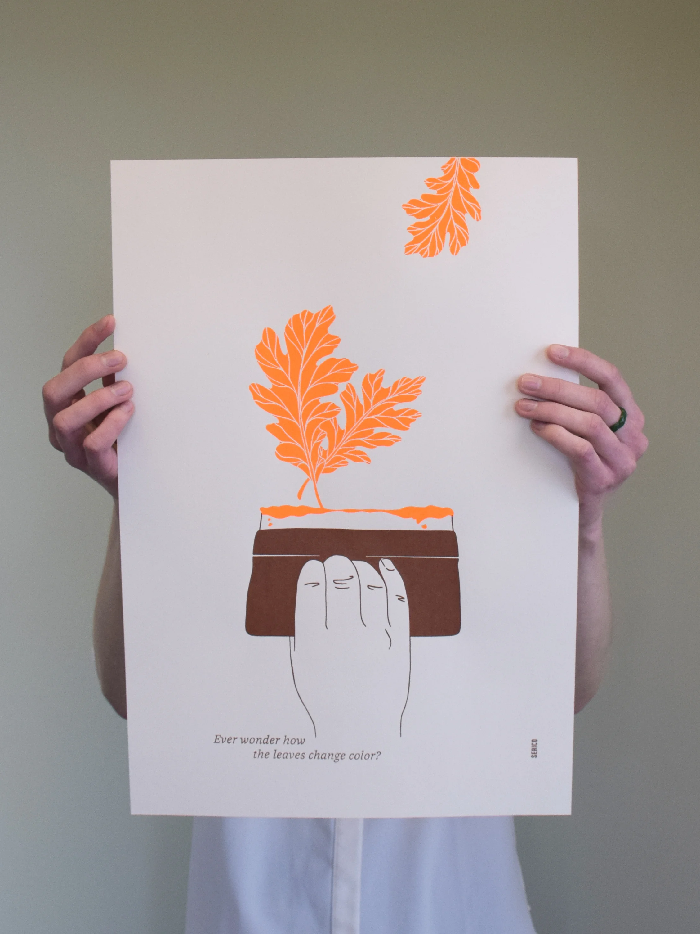 Screen printing humor on my poster insert :)
