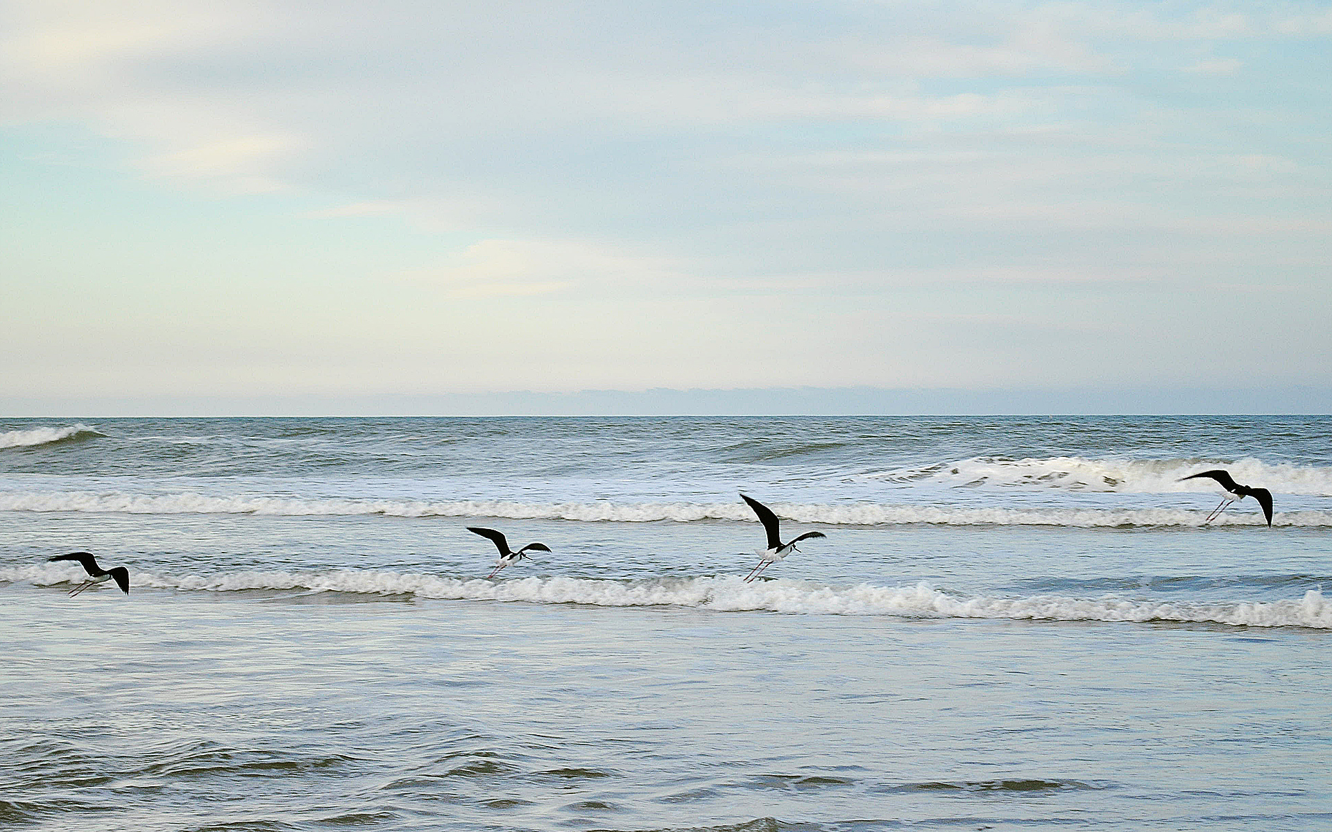 The Beach