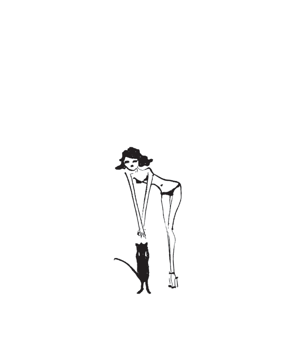 "LE CHAT"