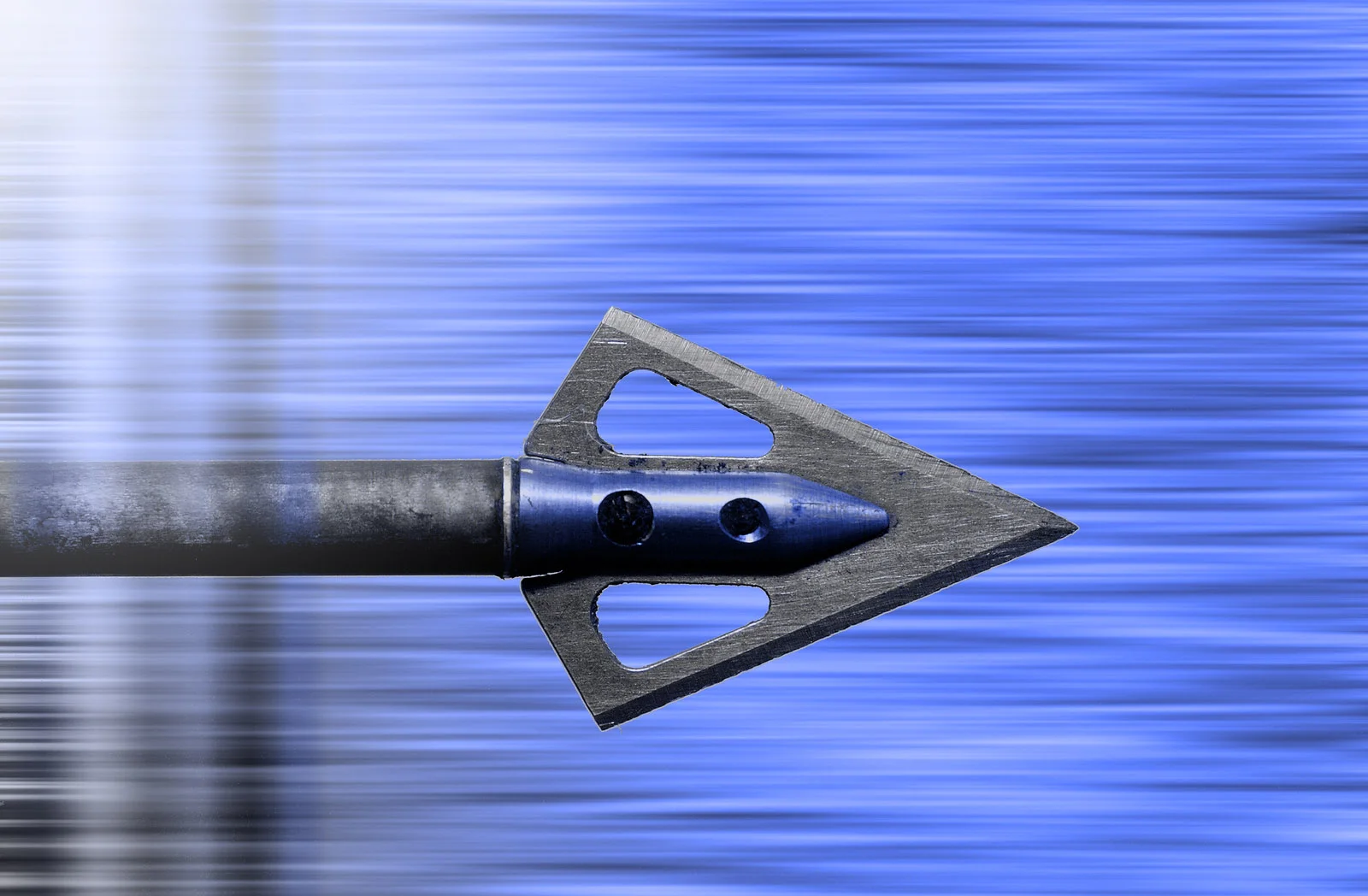 Blue-Flying-Arrow Movement Behind BW.jpg