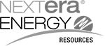 NextEra BW 150w.png