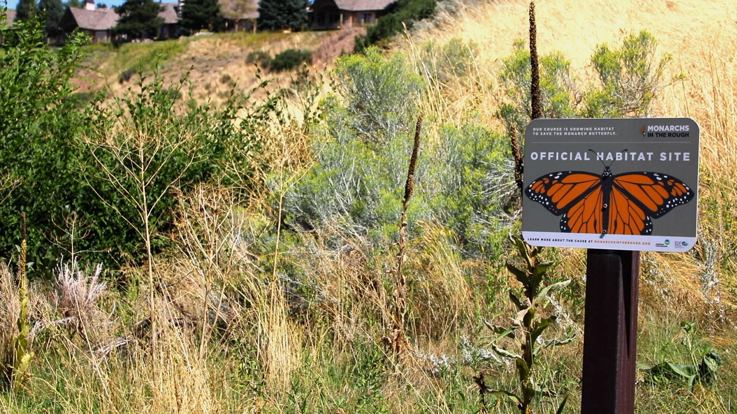 Radius Sports Group Partners with the Utah Golf Course Superintendents Association to Share Educational Video  Showing Community &amp; Ecosystem Services provided by Utah Golf Courses