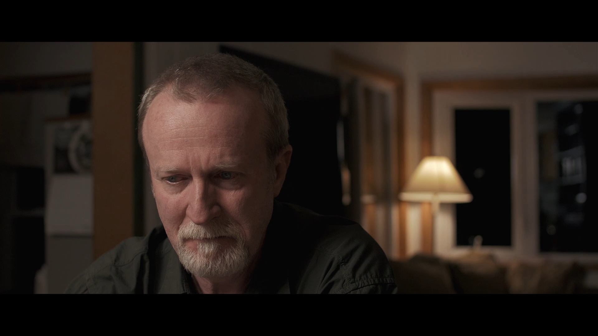 Painted Pictures SWFF Export v3.mp4.00_11_48_02.Still001.png