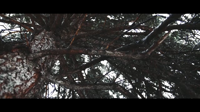 Creative Society Promo Final