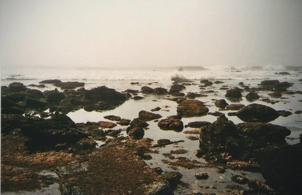 87.jpg