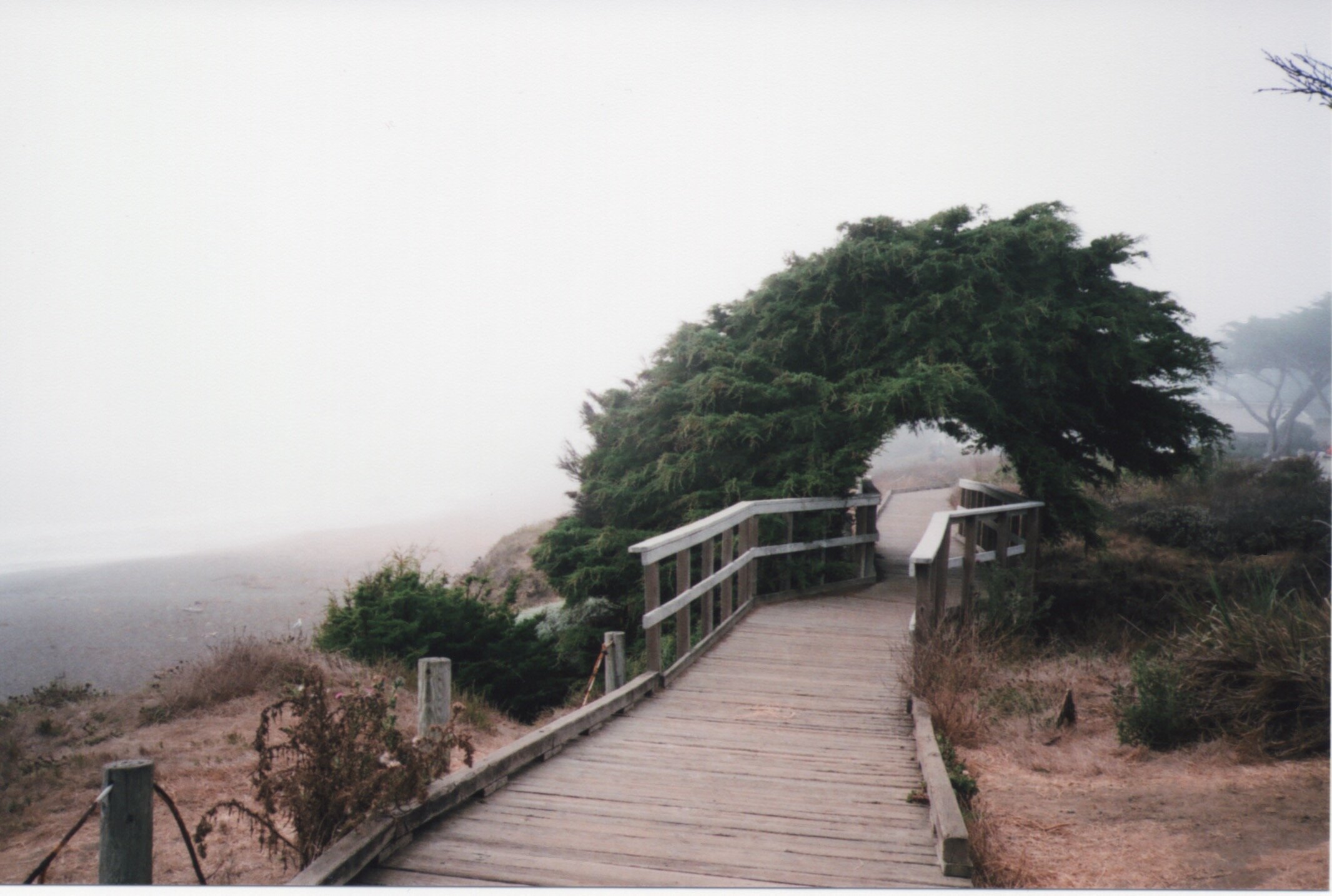 nowherebridge.jpeg