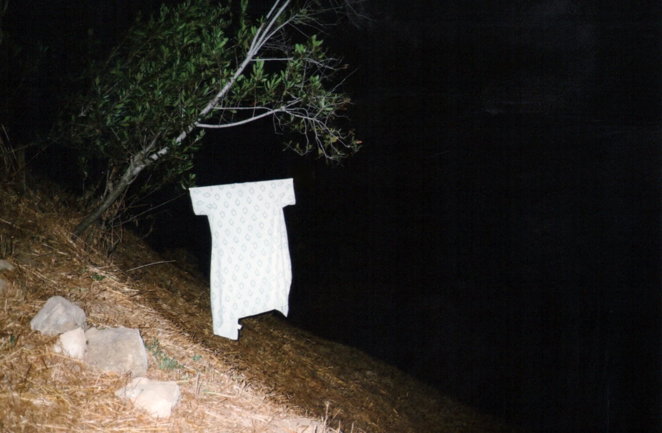 DA GOWN.jpg