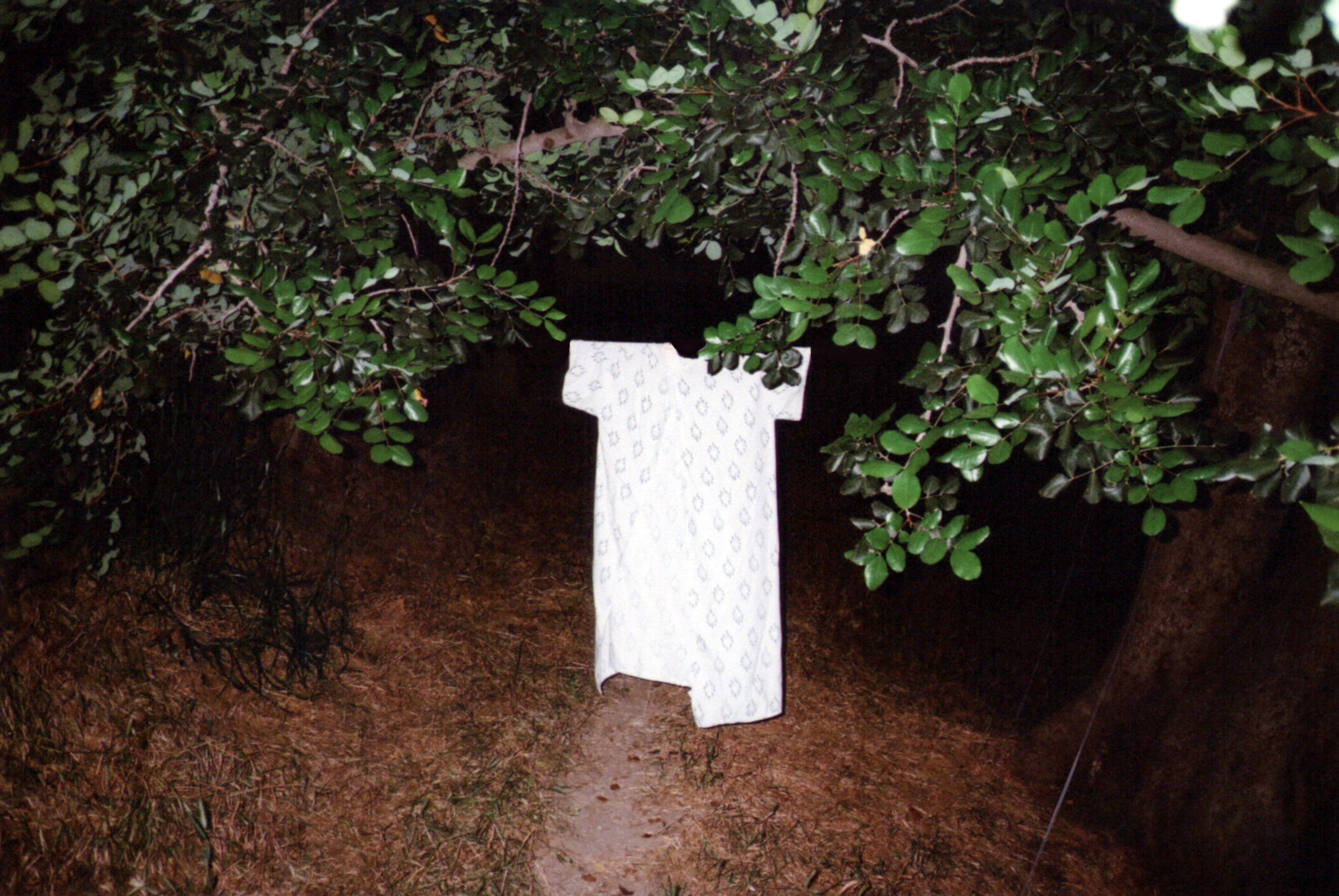 the gown 1.jpeg