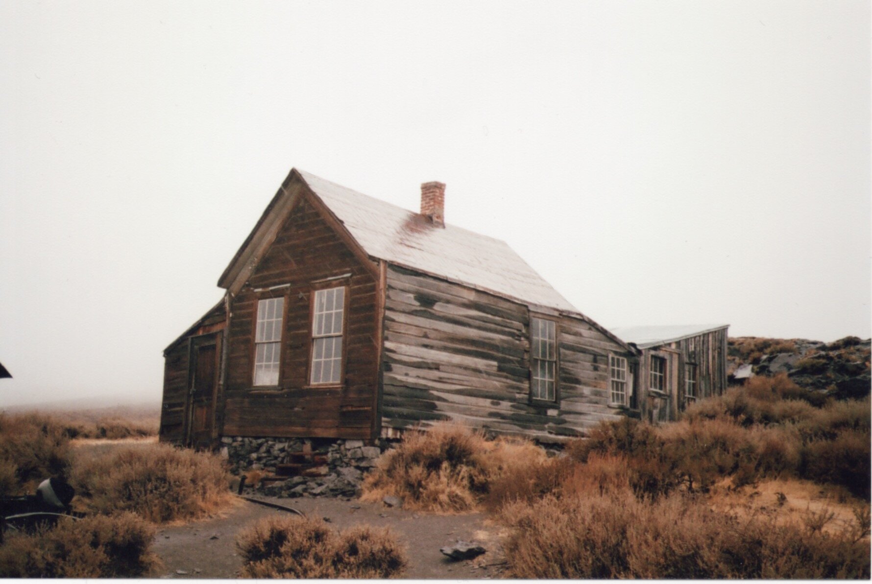 bodie 3.jpeg
