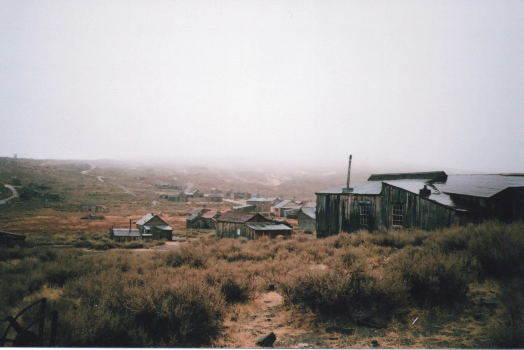 bodie5.jpeg