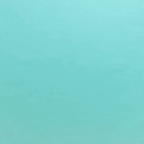 Animated GIF-downsized_large.gif