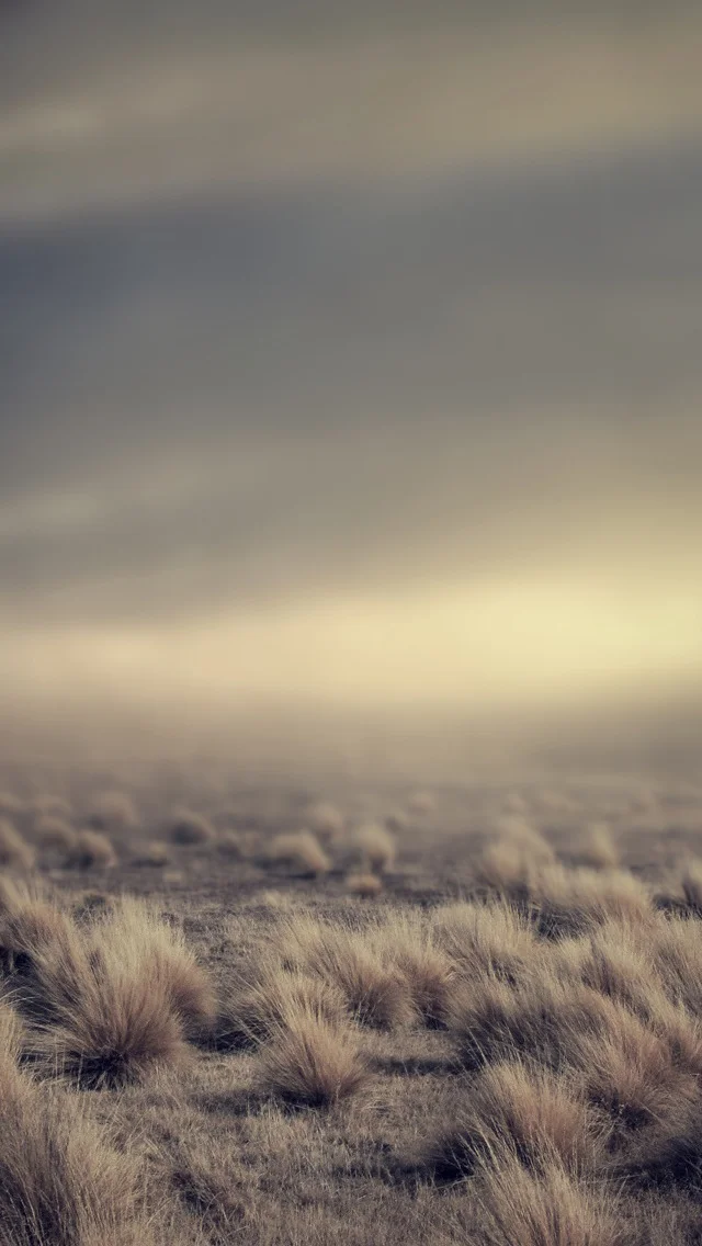ios_field_bg_iphone_5_wallpaper.jpeg