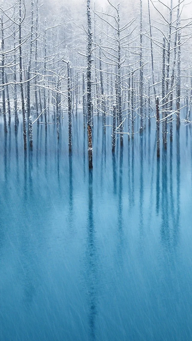 ml_blue_pond__iphone_5_wallpaper.jpeg