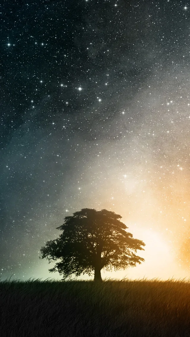 space_tree_iphone_5_wallpaper.jpeg