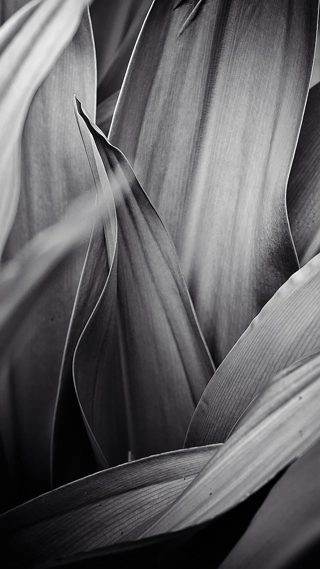 htc_sense_5_one_wallpaper_frkf2xoa - imgur.jpg