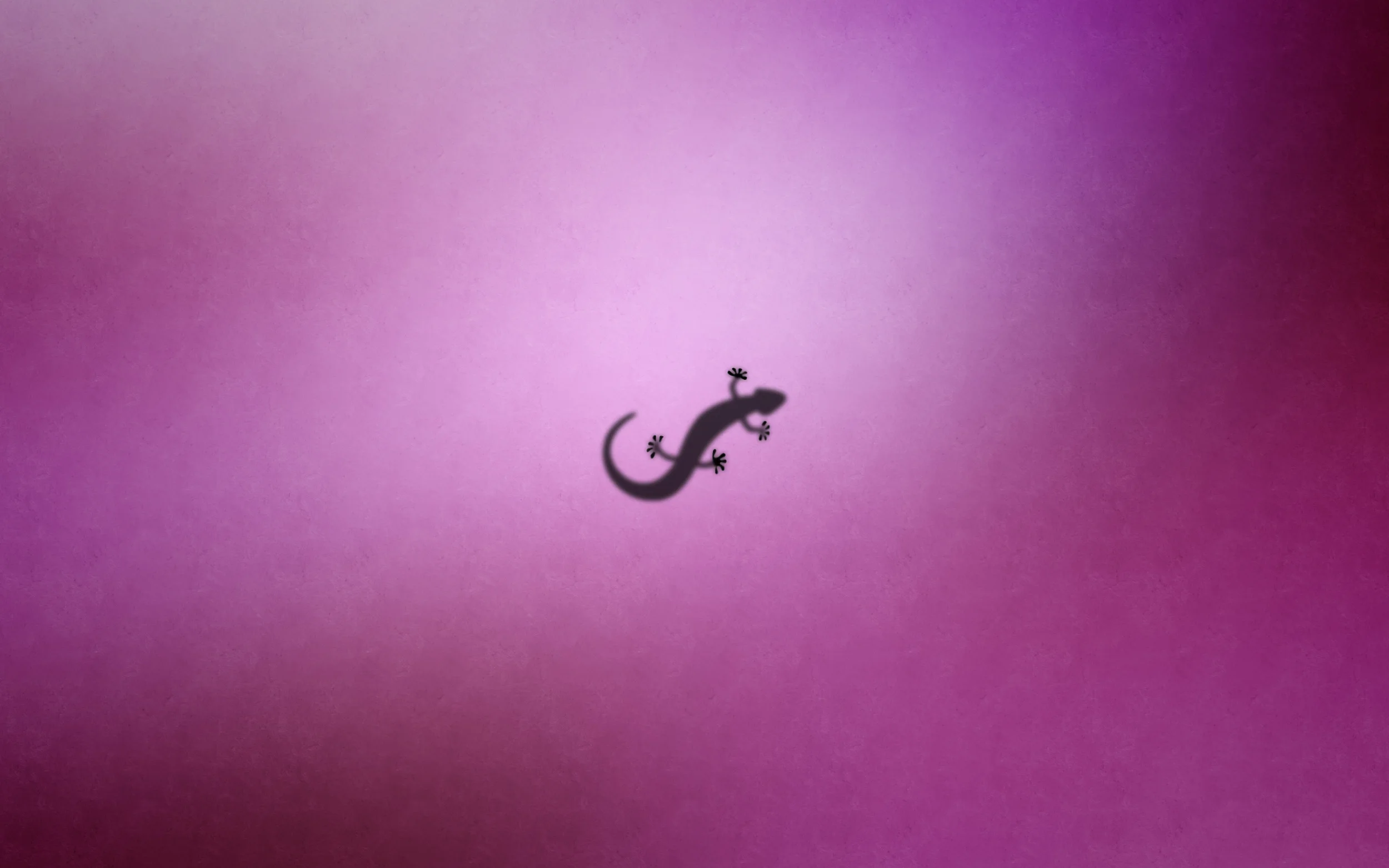 lizard 2560x1600 by sonasthan | deviantart.jpg