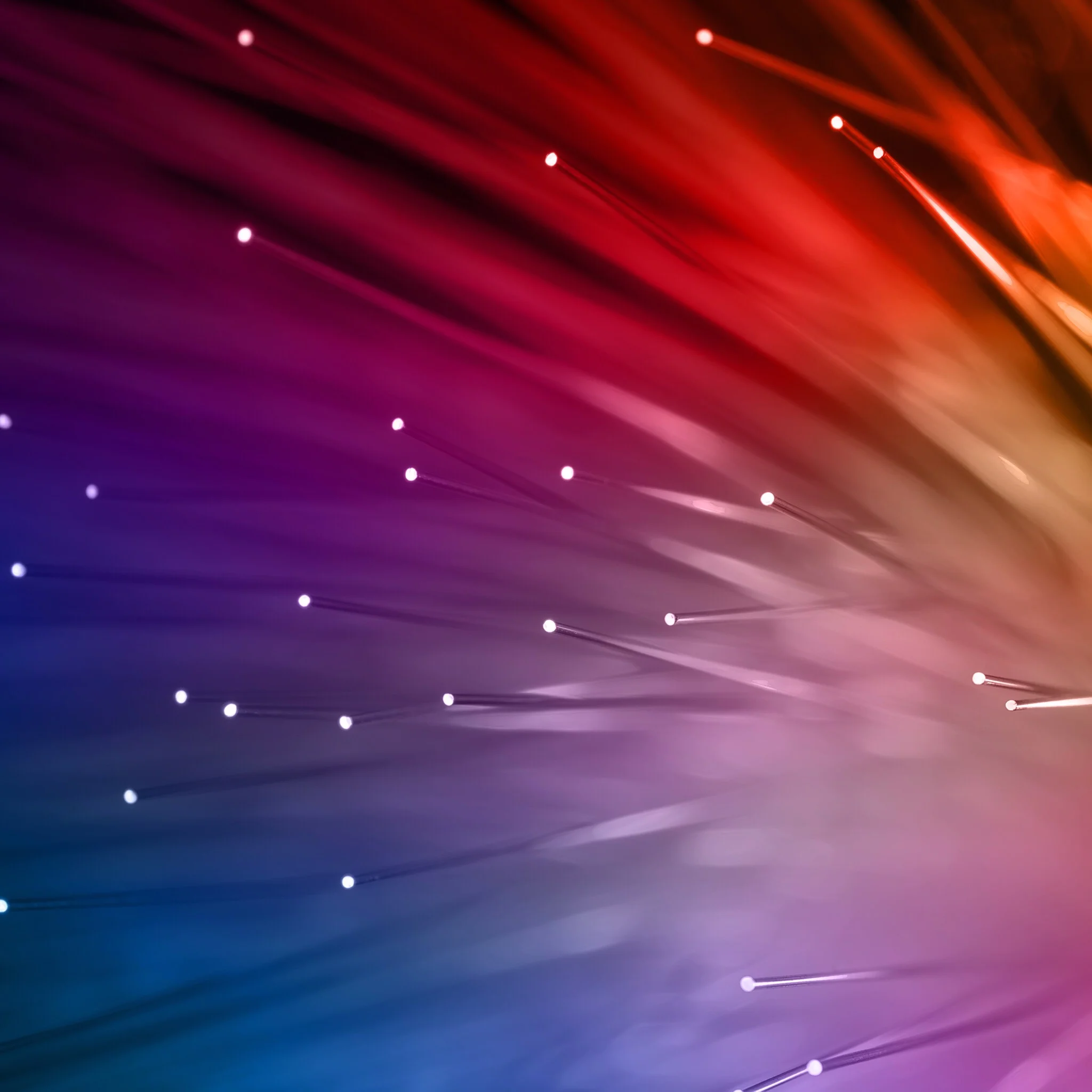 iphone-6-plus-wallpaper44f1ca88-2c5a-43d5-8f53-e8841a27c46b.jpg