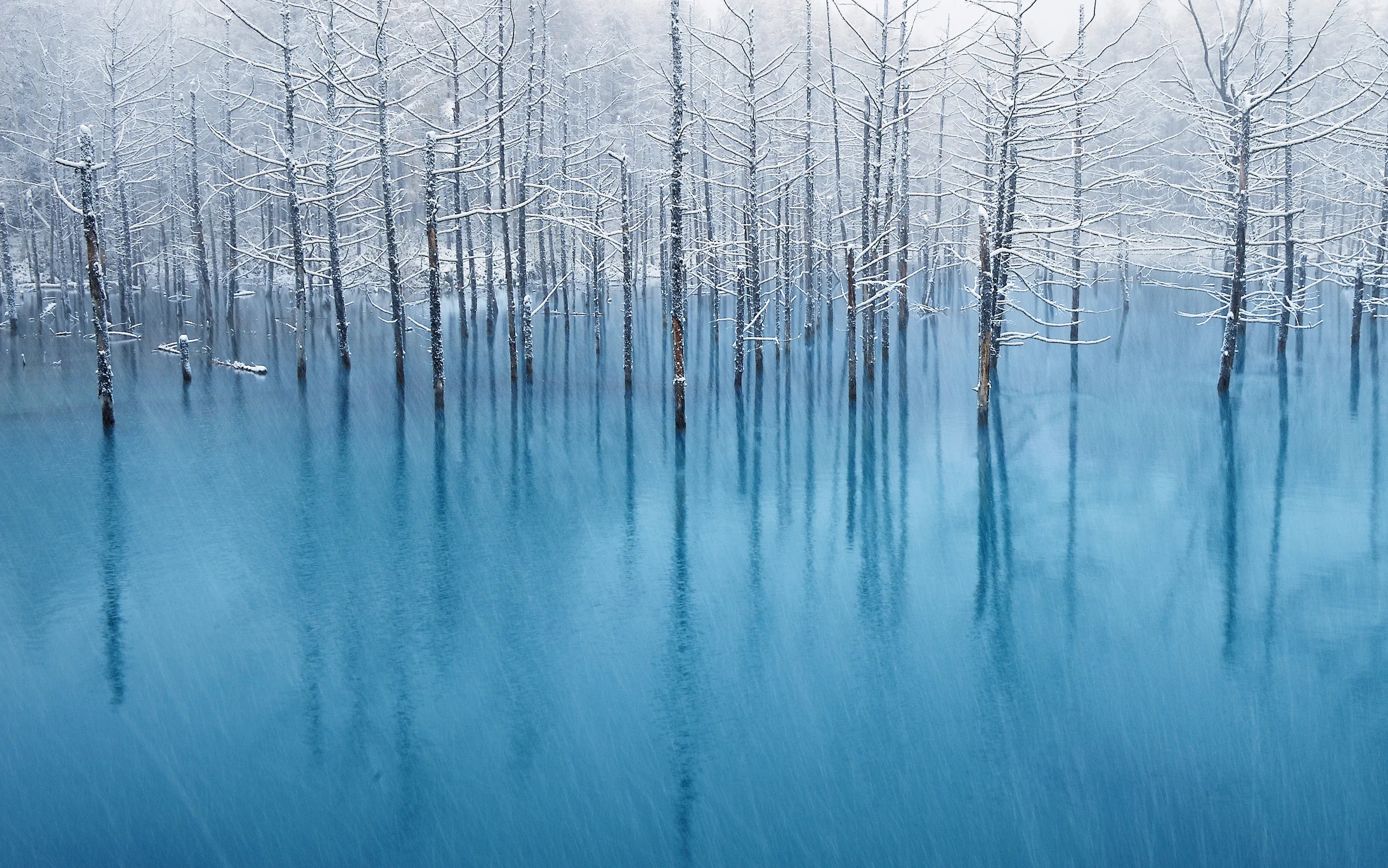blue_pond_osx_mountain_lion_retina_macbook_pro_wallpaper.jpg