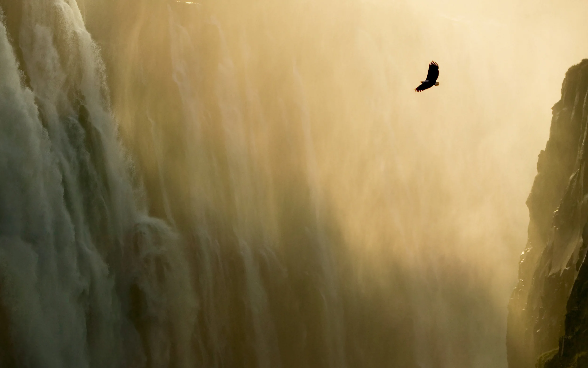 eagle_waterfall_osx_mountain_lion_retina_wallpaper.jpg