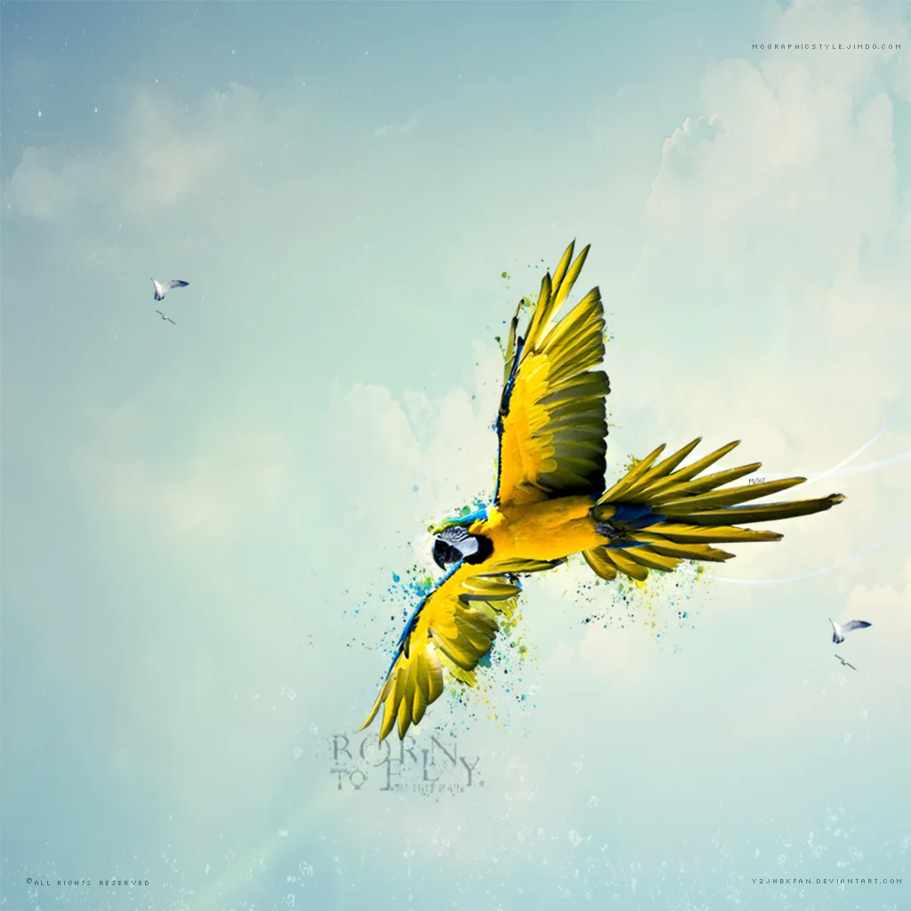 born to fly_1024x1024_ipad2_wallpaper_by_y2jhbkfan.jpg