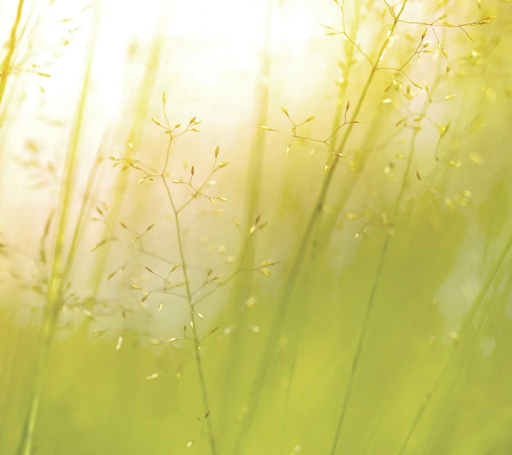 lg-g3-wallpaper-9.jpg