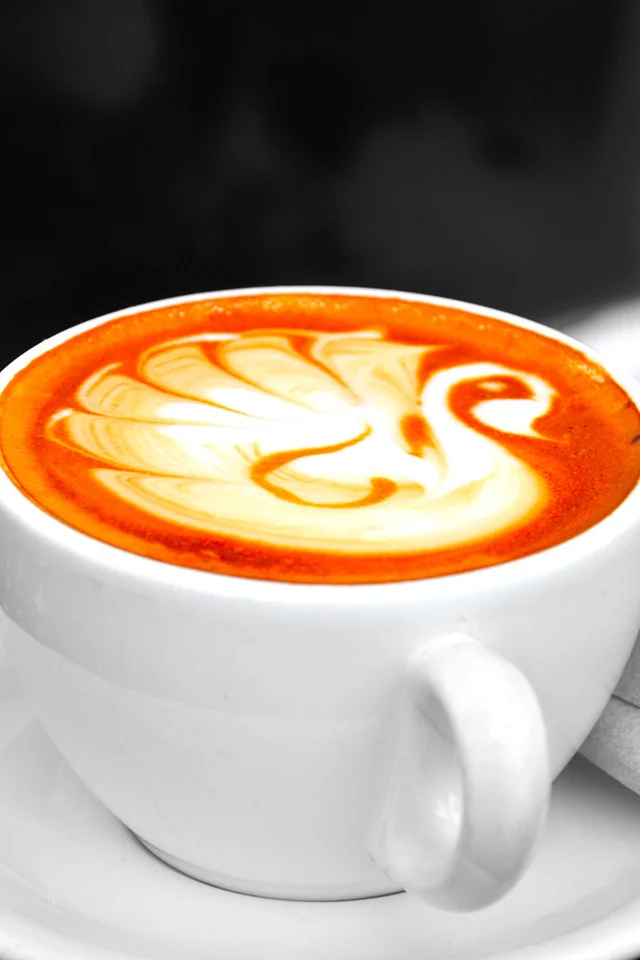 cafe by gadgetmac.com.jpg