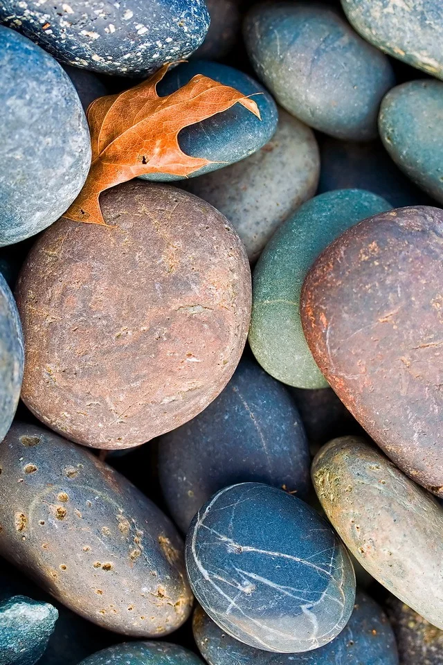 fall-pebbles-iphone4s-wallpaper.jpg