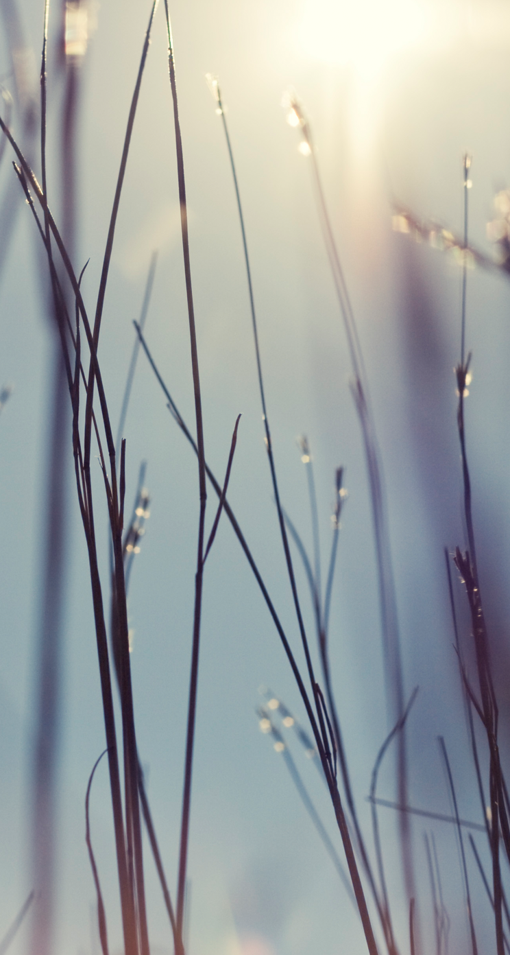 iphone_5s_5c_ios_7_wallpaper_13.png