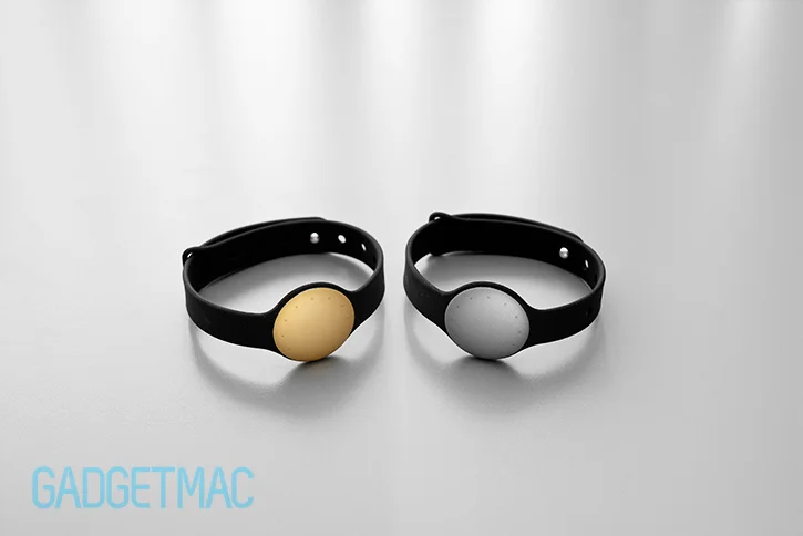 misfit_shine_champagne_vs_silver_gray.jpg