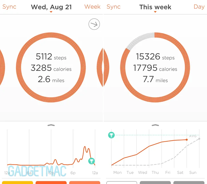 misfit_shine_ios_app_data.jpg