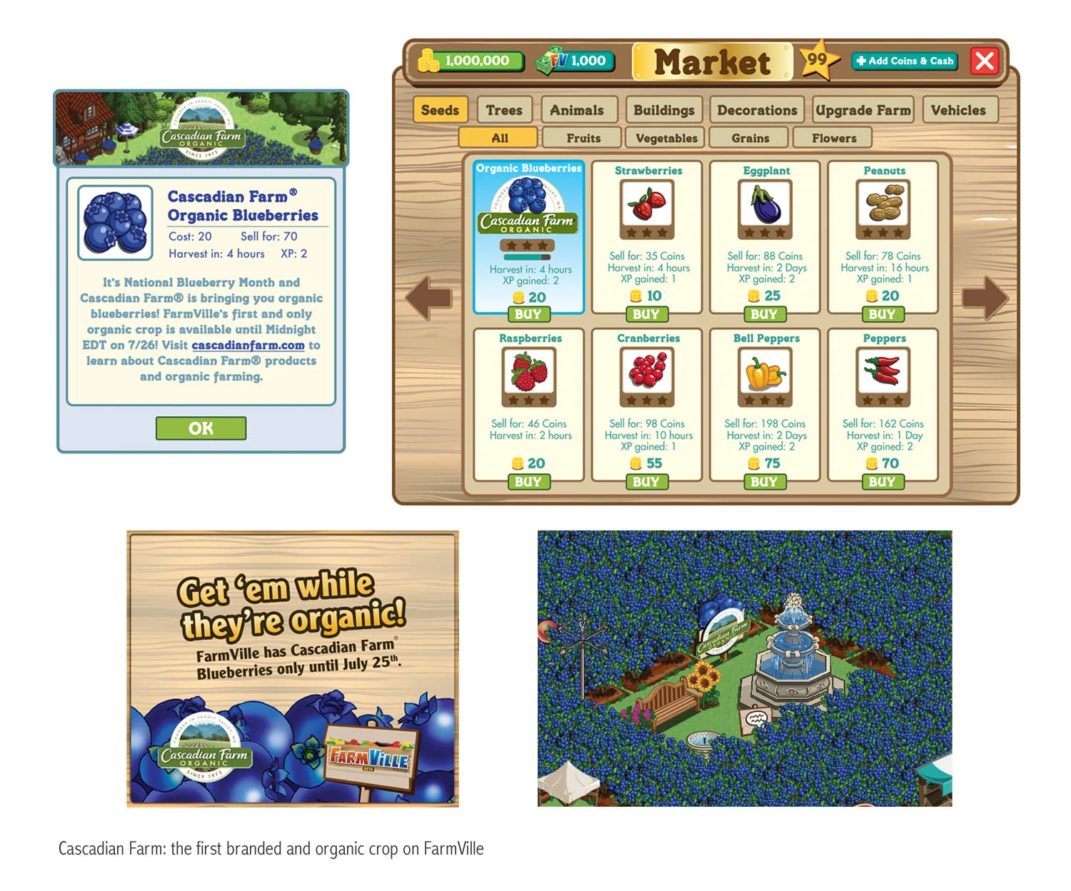 farmville_CF.jpg
