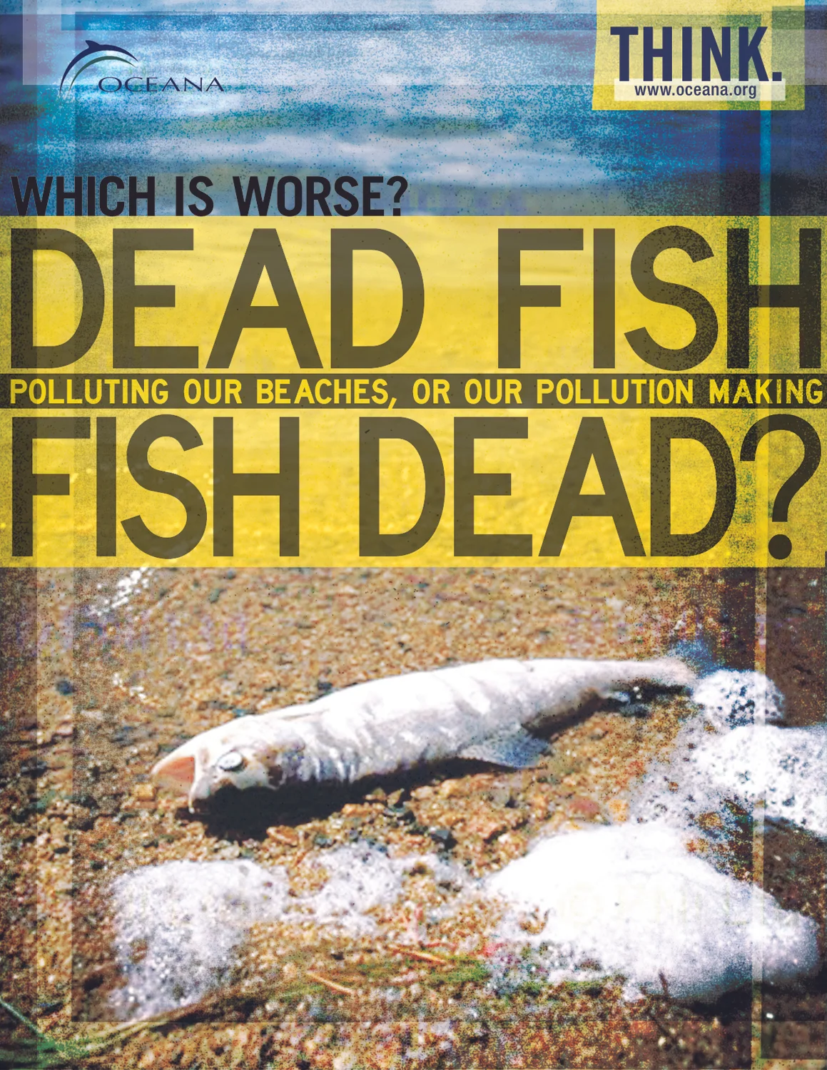 Oceana_Fish.jpg